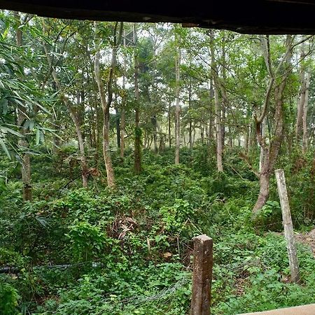 Hotel Siddhartha Wildlife Retreat Meghauli Exterior foto