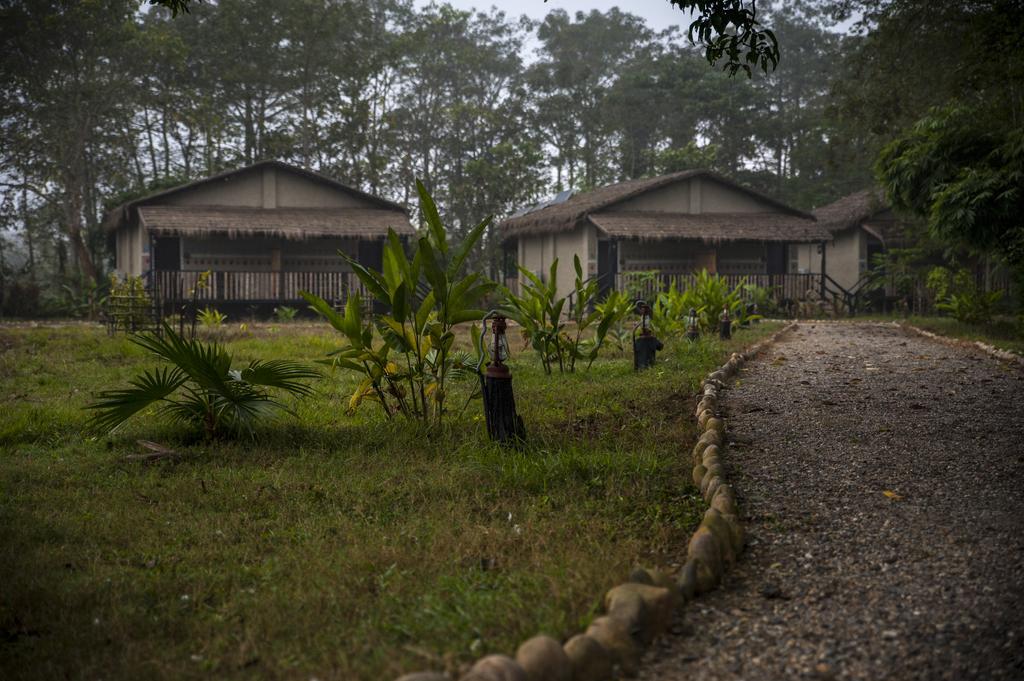 Hotel Siddhartha Wildlife Retreat Meghauli Exterior foto